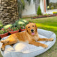 Ultra Soft Grey Bolster Pet Bed for Small & Medium Dogs & Cats, Cozy Cuddler, Polyfibre Filling |100% Cotton | Breathable & Durable| Removable & Washable Cover| All-Season Comfort (22x28x7.5 Inch)