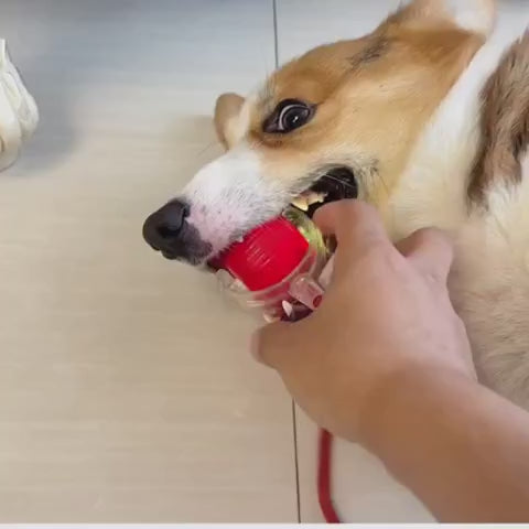 Interactive Rolling Dog Ball, New Electric Cat Toy, 360° Smart Automatic Rolling Pet Ball