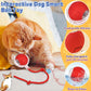 Interactive Rolling Dog Ball, New Electric Cat Toy, 360° Smart Automatic Rolling Pet Ball