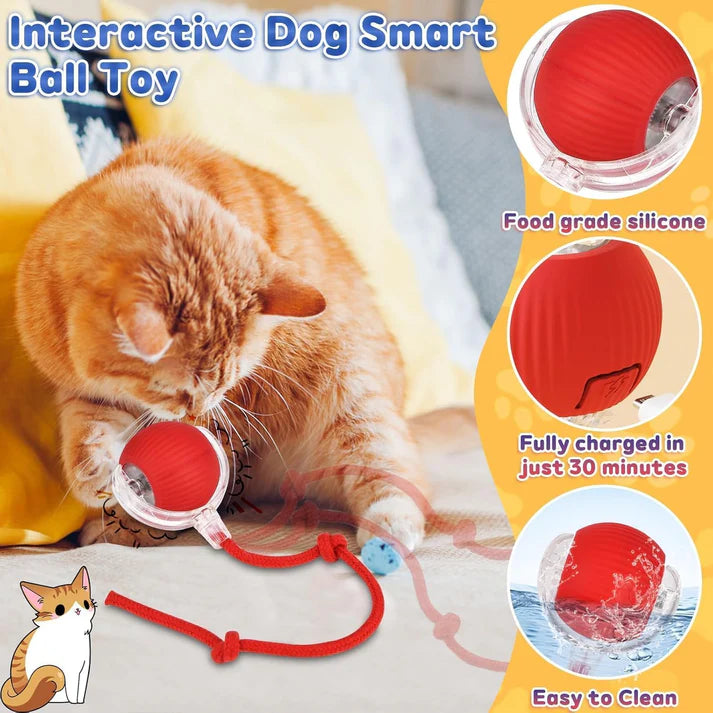 Interactive Rolling Dog Ball, New Electric Cat Toy, 360° Smart Automatic Rolling Pet Ball